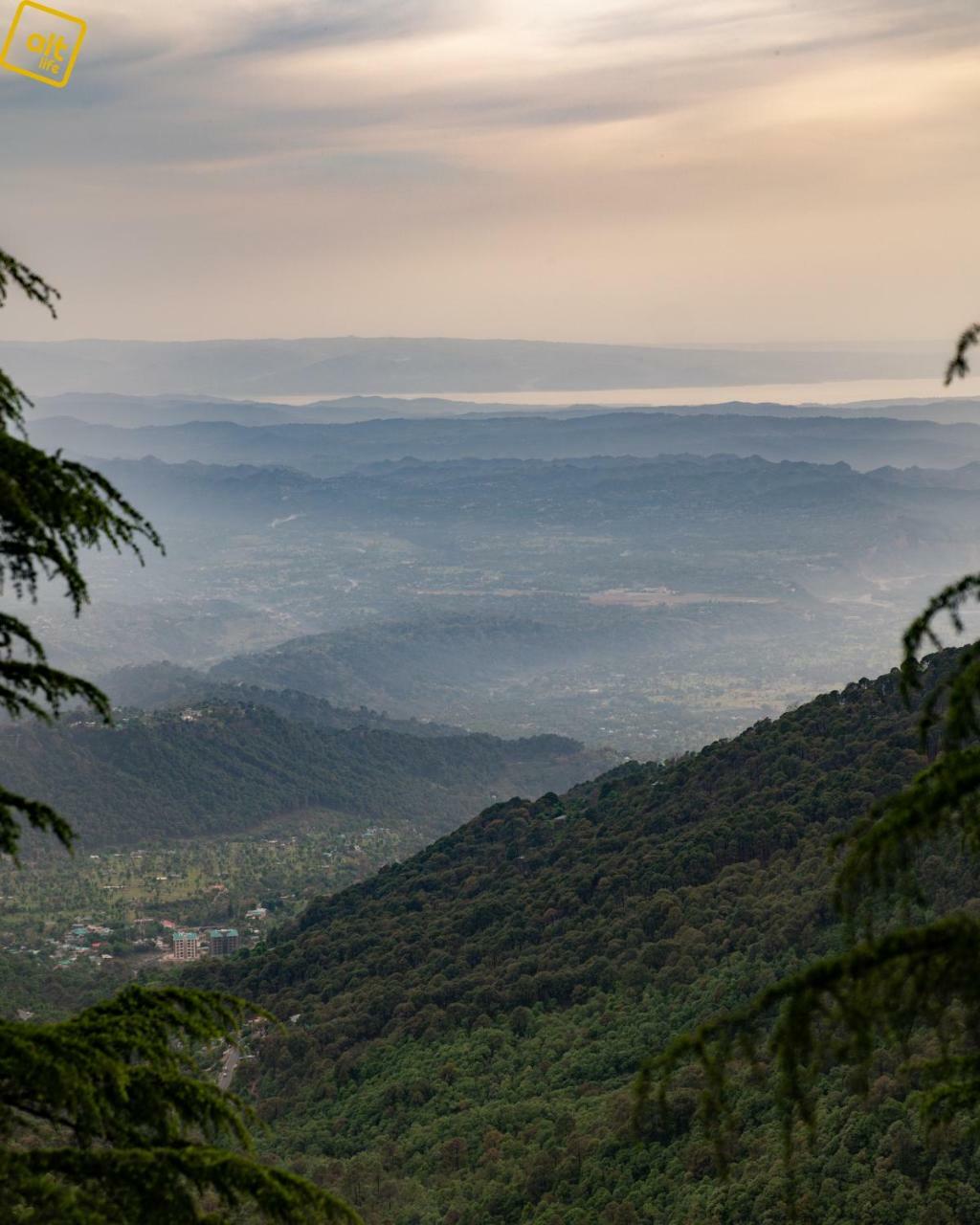 マクロード・ガンジ Alt Life - Dharamkotホステル エクステリア 写真